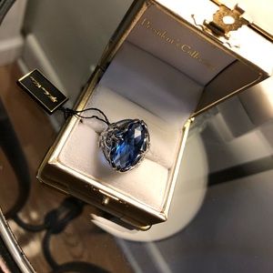 Enchanted silver ring